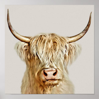 Poster Vache des Albinos