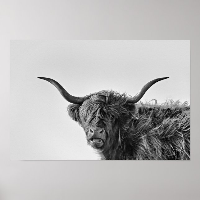 Poster Vache des hautes terres robuste en monochrome (Devant)