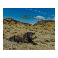 Vache dit MEH! Drôle de bœuf mâle bouche ouverte