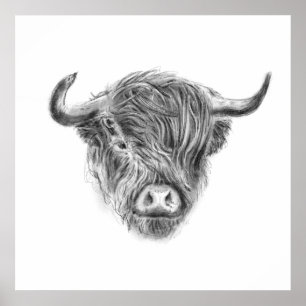 Poster Vache Fortement Highland