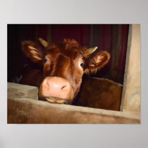 Poster Vache Rustique Pays Brown Grange Funny Farm