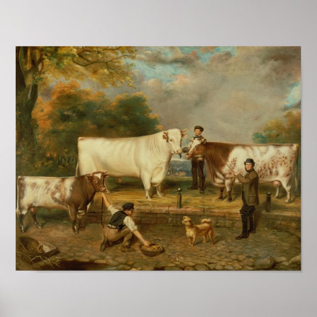 Poster Vaches avec un éleveur (Devant)