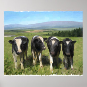 Poster Vaches curieuses