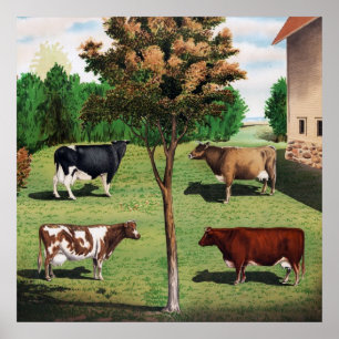 Poster Vaches Holstein, Jersey, Ayrshire et Shorthorn