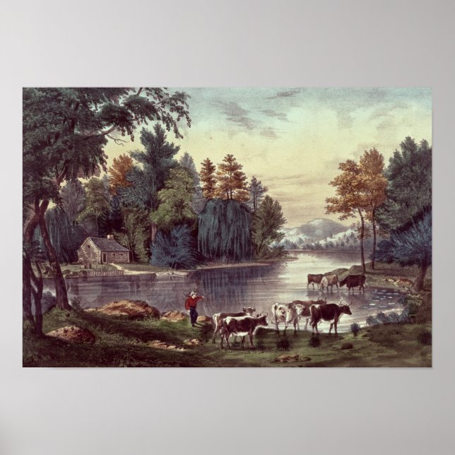 Poster Vaches sur la rive d'un lac (Devant)