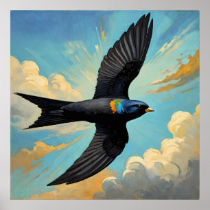 Poster Vagabond sans Effort : Portrait d'Oiseau Swift Col