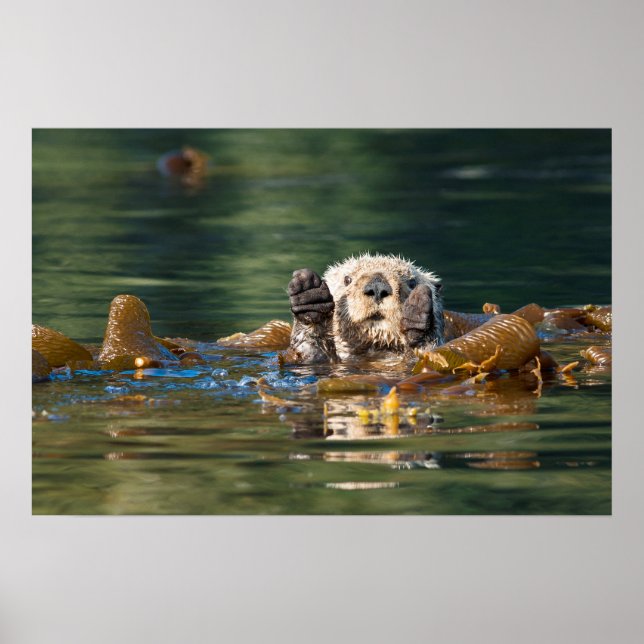 Poster Vague Louter de mer (Devant)