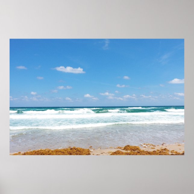POSTER VAGUES APPORTANT DES ALGUES (Devant)