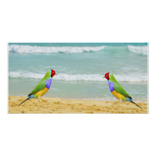 Poster vagues, ciel et surf sur la plage de boa vista