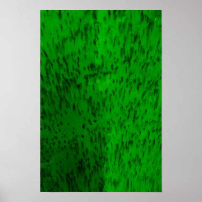 Poster Vaisselle en terre cuite vert citron (Devant)