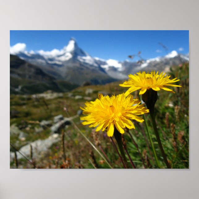 Poster Valais Alpes suisses (Devant)