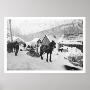 Poster Valdez Trail Horses Alaska 1912