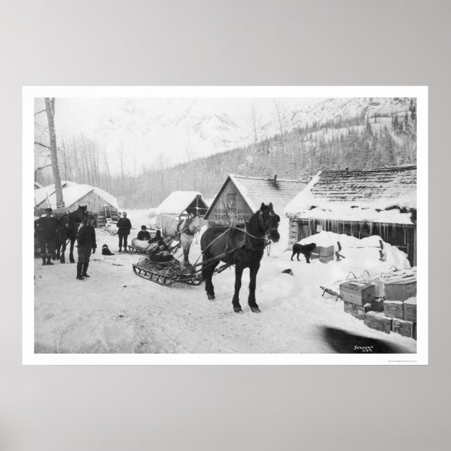 Poster Valdez Trail Horses Alaska 1912 (Devant)