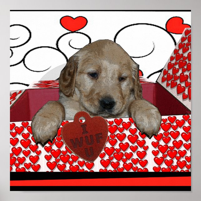 POSTER VALENTINE PUPPY - JE T'AI REGARDÉ ! (JE T'AIME) PO (Devant)