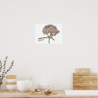 Poster valérien