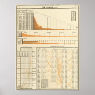 Poster Valeur réelle