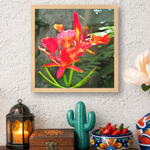 Poster Vallarta Flaming Beauty Tropical Floral 1583 Art