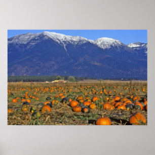 Poster Vallee de Flathead Montana aire de citrouilles