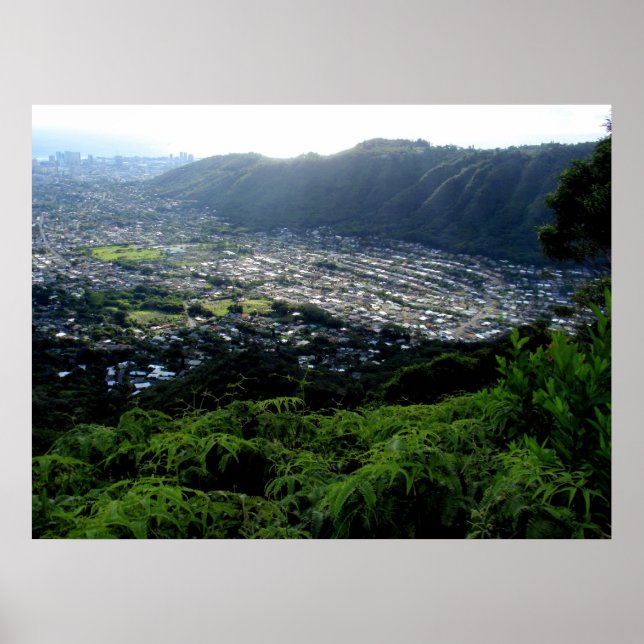 Poster Vallée de Manoa, O'ahu, Hawai'i (Devant)