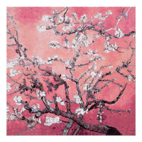 Van Gogh Almond Blossom pêche rose