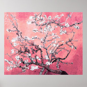 Poster Van Gogh Almond Blossom pêche rose