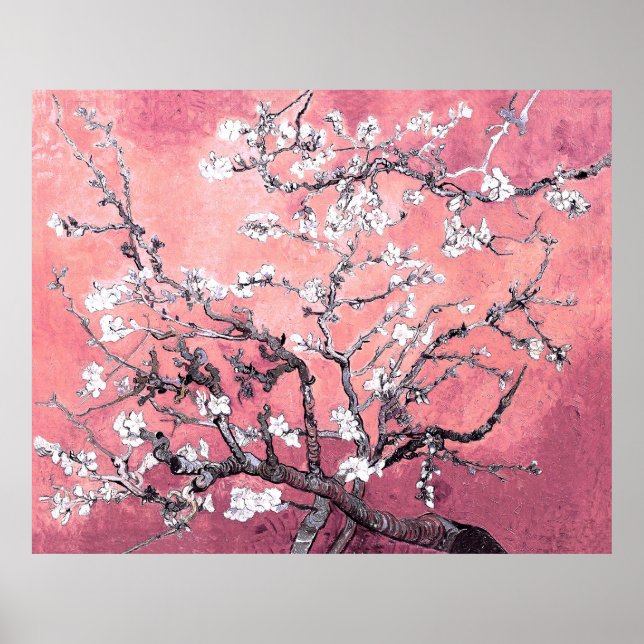 Poster Van Gogh Almond Blossom pêche rose (Devant)