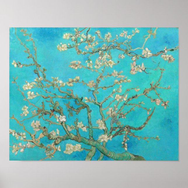 Poster Van Gogh Almond Blossoms (Devant)