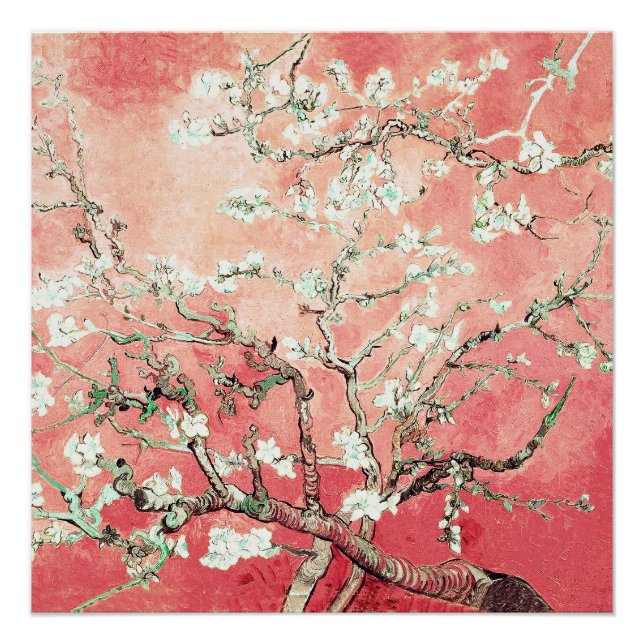 Poster Van Gogh Almond Blossoms pêche (Devant)