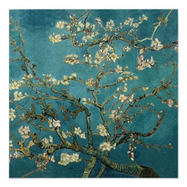 Poster Van Gogh - Arbre aux amandes en fleurs (Devant)