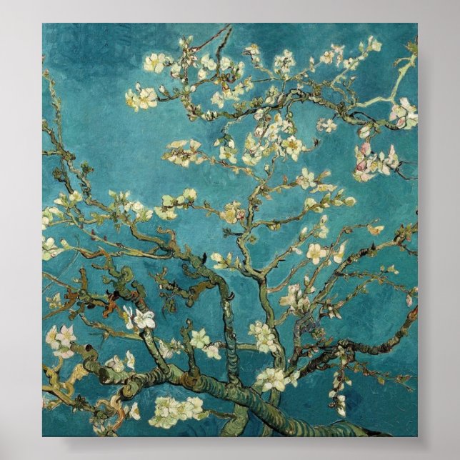 Poster Van Gogh - Arbre aux amandes en fleurs (Devant)