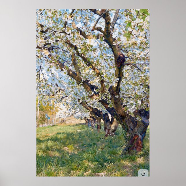 Poster Van Gogh Blossoming Apricot Trees (Devant)