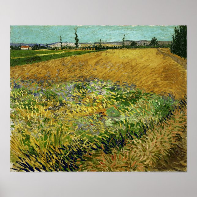Poster Van Gogh - Champ de blé (Devant)