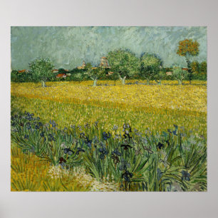 Poster Van Gogh - Champ de fleurs à Arles