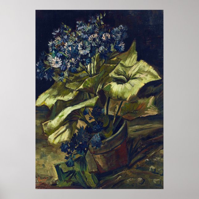 Poster Van Gogh Cineraria in a Flowerpot (Devant)