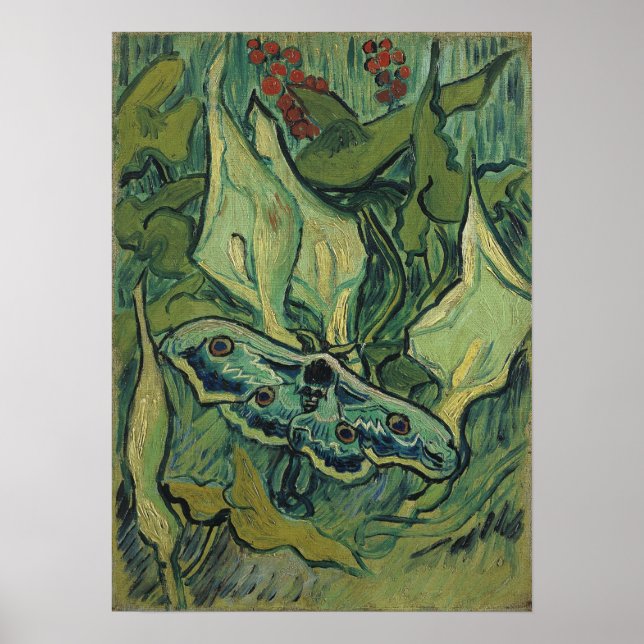Poster Van Gogh - Empereur Moth (Devant)