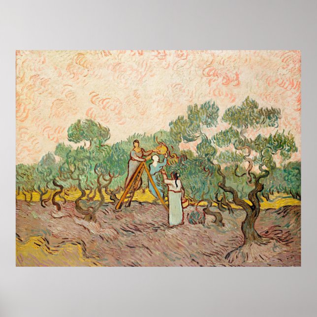 Poster Van Gogh - Femmes cueillant des olives, (Devant)