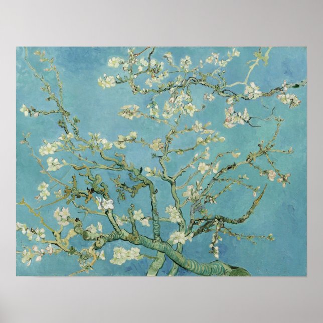 Poster Van Gogh - Fleur d'amandes (Devant)