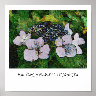 Poster Van Gogh Flowers : Hydrangea