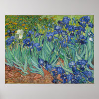 Van Gogh - Iris