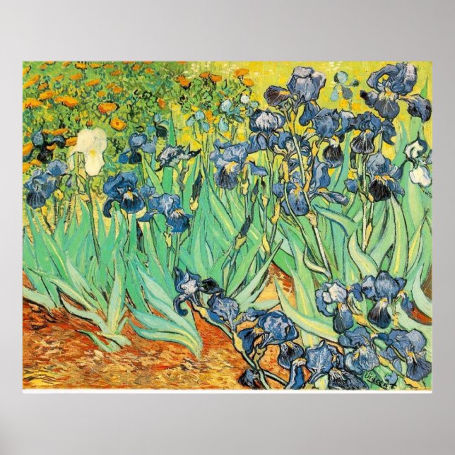 Poster Van Gogh Irises (Devant)