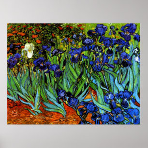 Poster Van Gogh - Irises