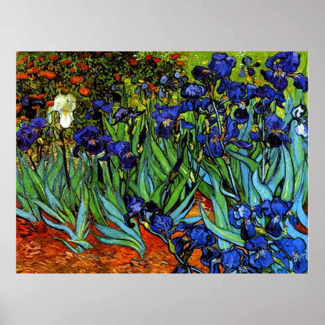 Poster Van Gogh - Irises (Devant)