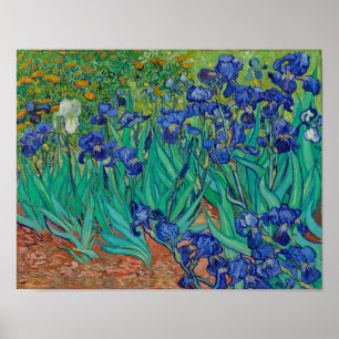 Poster Van Gogh Irises