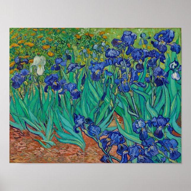 Poster Van Gogh Irises (Devant)