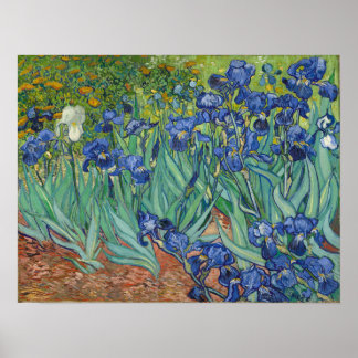 Poster Van Gogh - Irises