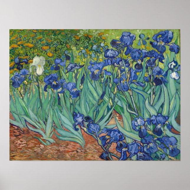 Poster Van Gogh - Irises (Devant)