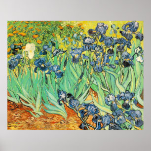 Poster Van Gogh Irises
