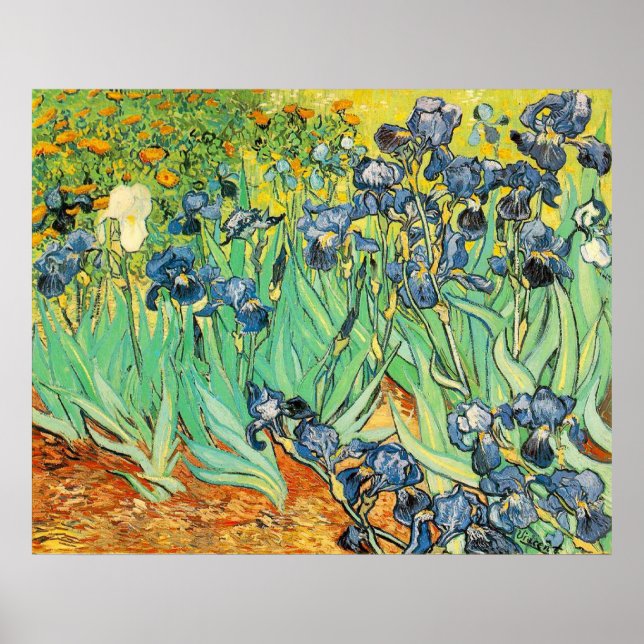 Poster Van Gogh Irises (Devant)
