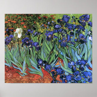 Poster Van Gogh Irises (F608) Art Vintage