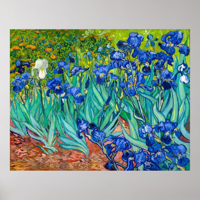 Poster Van Gogh, Irises, Les Iris, 1889 (Devant)